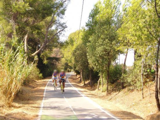 Studio Proche Mer Et Ville Toulon 2 Pers Dış mekan fotoğraf